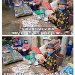 어째서인지 베트남에서 인정받는 한국인들
