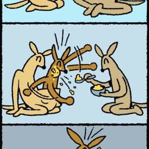 캥거루족 한 짤 요약