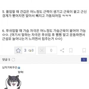 dccapture_20250313_152248.jpg 맨몸운동 3년하고서 깨닫게 된 사실들