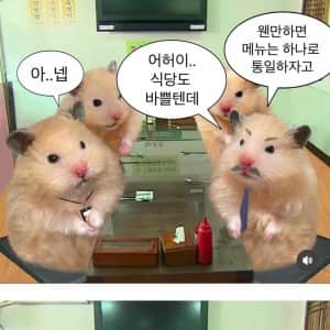 직장인들 점심 제육 통일의 비밀 