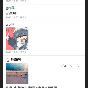 "국내 대숙청 갤러리" 