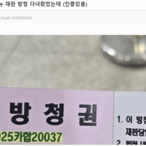하이브-뉴진스 재판 방청다녀온 후기