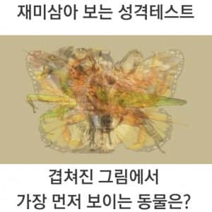 먼저 보이는 그림으로 하는 성격테스트