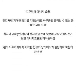 인간의 신체능력이 야생동물보다 압도하는 부분