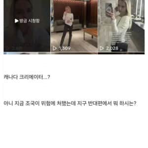 우크라이나의 어느 애국녀