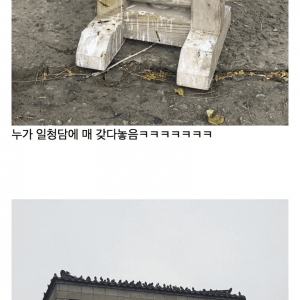 (진짜) 매형을 데려와 버린 경북대