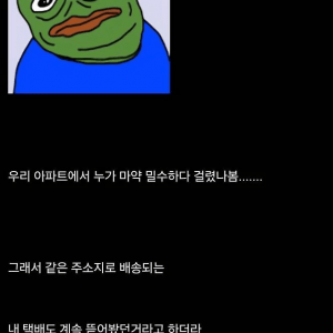 직구한 택배를 자꾸 뜯겨서 관세청에 물어보니