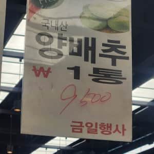 세일하는 고기값보다 비싸진 양배추