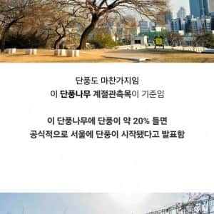 조금 특별한 식물이 있는 서울기상관측소
