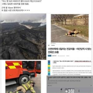 화재 진압하는 소방관 조롱하는 의사들 