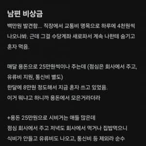 남편 비상금 발견해서 빡친 아내