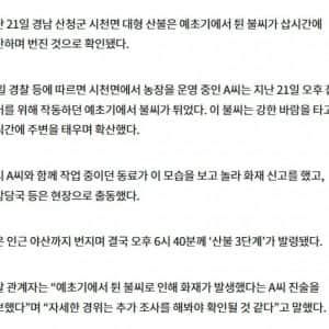 대규모 산불 원인 극과 극 