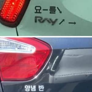 요를 RAY~