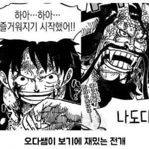원피스 오다쌤과 독자들의 관점 차이