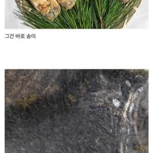 산불 때문에 국내산 먹는 거 포기해야 되는 식료품