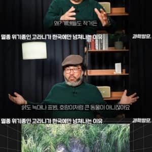 멸종 위기종인 고라니가 한국에만 넘쳐나는 이유
