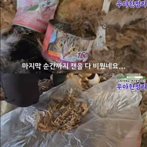 혐) 청소비 1,500만 원 나온 쓰레기집