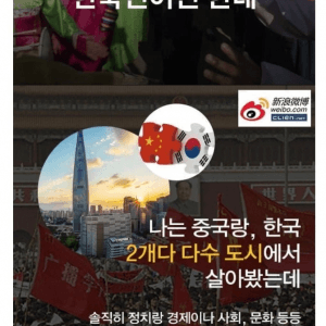 요즘 중국인들이 밀고 있는 것
