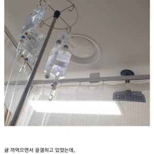 급성 감귤중독으로 사망할뻔한 디시인