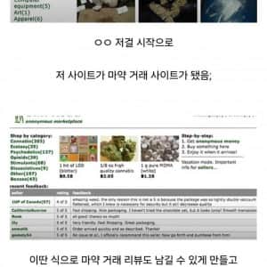 어느 미국 모범생의 인생 