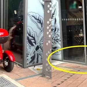 더욱 진화한 스타벅스 전기 충전 손님