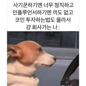 대다수 직장인들 특징