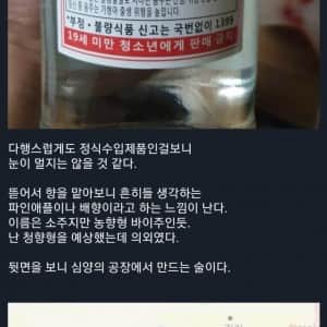 주류갤러리 '혁명소주' 후기 