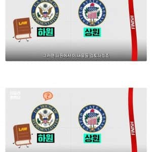 타일러가 말하는 미국에서 법안 통과가 엄청 느린 이유 