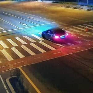 정신이상자들의 계절 ON 