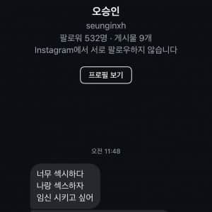 표현의 자유가 과하게 있는 인스타 디엠