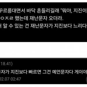 대한민국 재난 알림 시스템의 단점