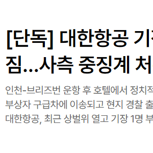 대한항공 기장 & 부기장, 호주에서 탄핵 얘기하다 맞짱