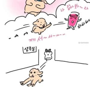 미용실에서 받은 음료서비스