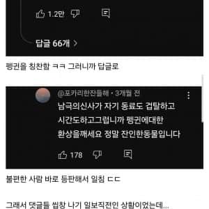 인간한테 길막 당한 펭귄의 놀라운 반응