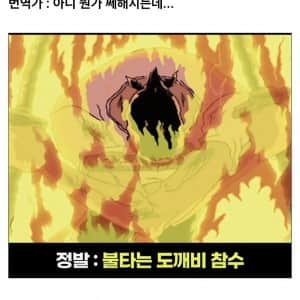 어쩌다보니 오역 아닌 오역이 된 원피스 조로 기술 
