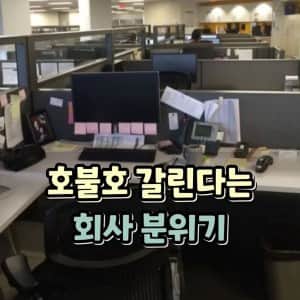 호불호 갈린다는 회사 분위기 