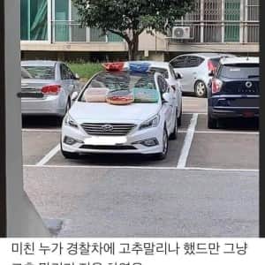 경찰차에 고추말리는 미친인간 