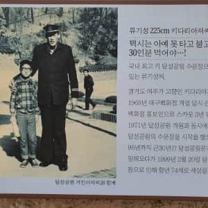 옛날 대구에서 유명했다는 225cm 키다리 아저씨