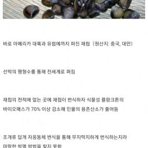 한국인 입장에서 눈물이 나는 해외의 생태교란종