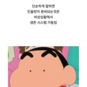 쌀이 인간에게 적합한 음식은 아닌거 같음
