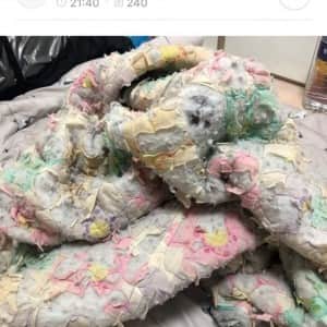 귀신 붙을 거 같은 룸메 애착 이불