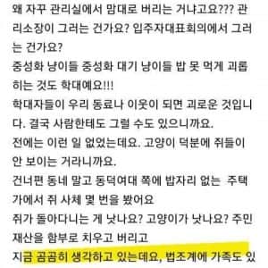 동네마다 한 개체씩 꼭 있는 캣맘