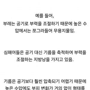 심해어가 수압을 견딜 수 있는 이유
