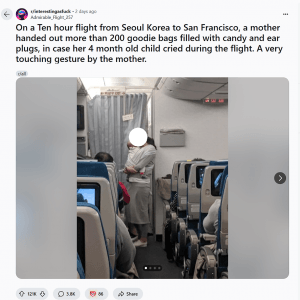 레딧에 올라온 비행기에 4개월 아기 데리고 탑승한 한국맘