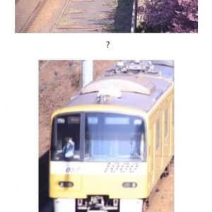 내가 벚꽃이랑 기차 사진을 찍었는데