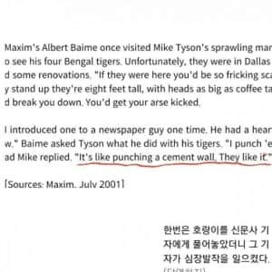 ?? : 집사가 나랑 놀아주고 싶나보다...