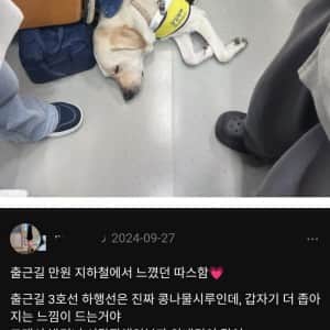 만원 지하철이 훈훈해진 이유