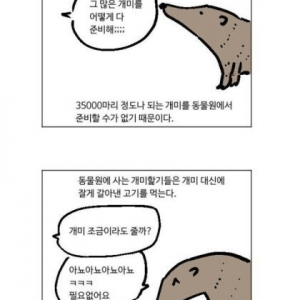 개미 안 먹는 동물원 개미핥기