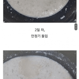 전통주 담그다 대참사 터짐