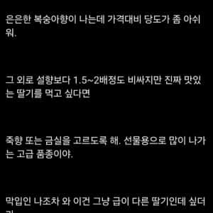 지금 딸기를 먹어야 하는 이유